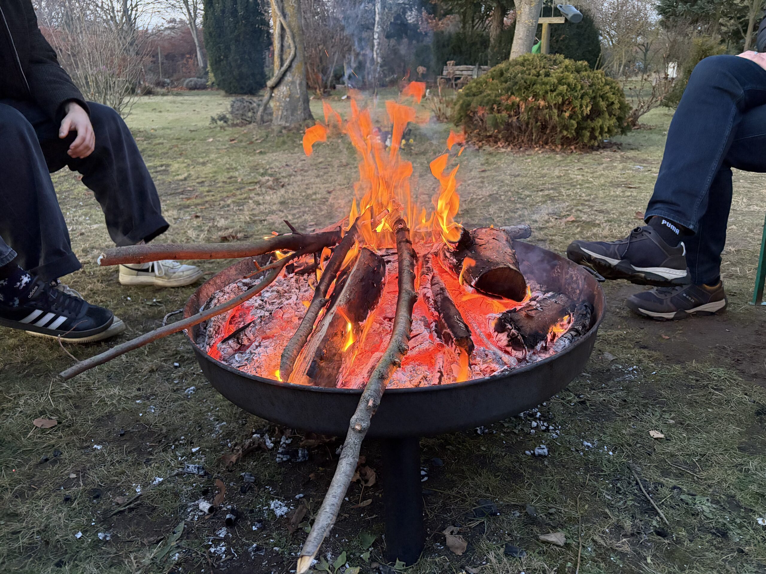 Totensonntag auf dem Tierfriedhof