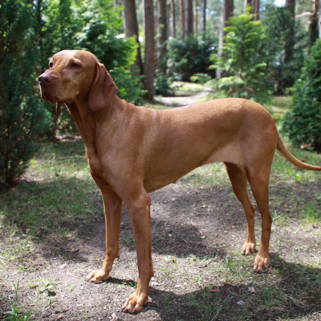 Threema_2025-12-22_19-49-04